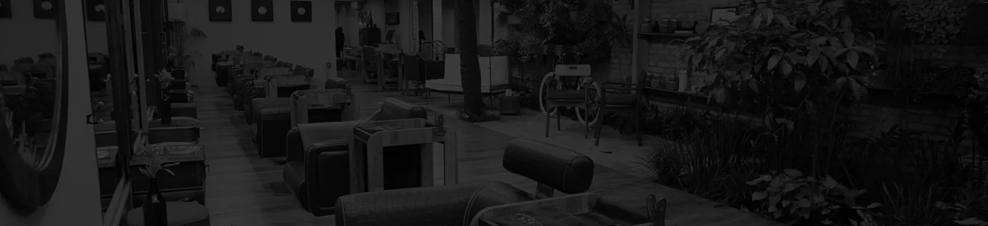 <strong>inspire-se</strong>